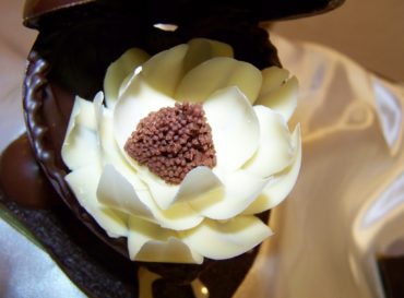 Guillaume Daix Maître chocolatier bio, créateur