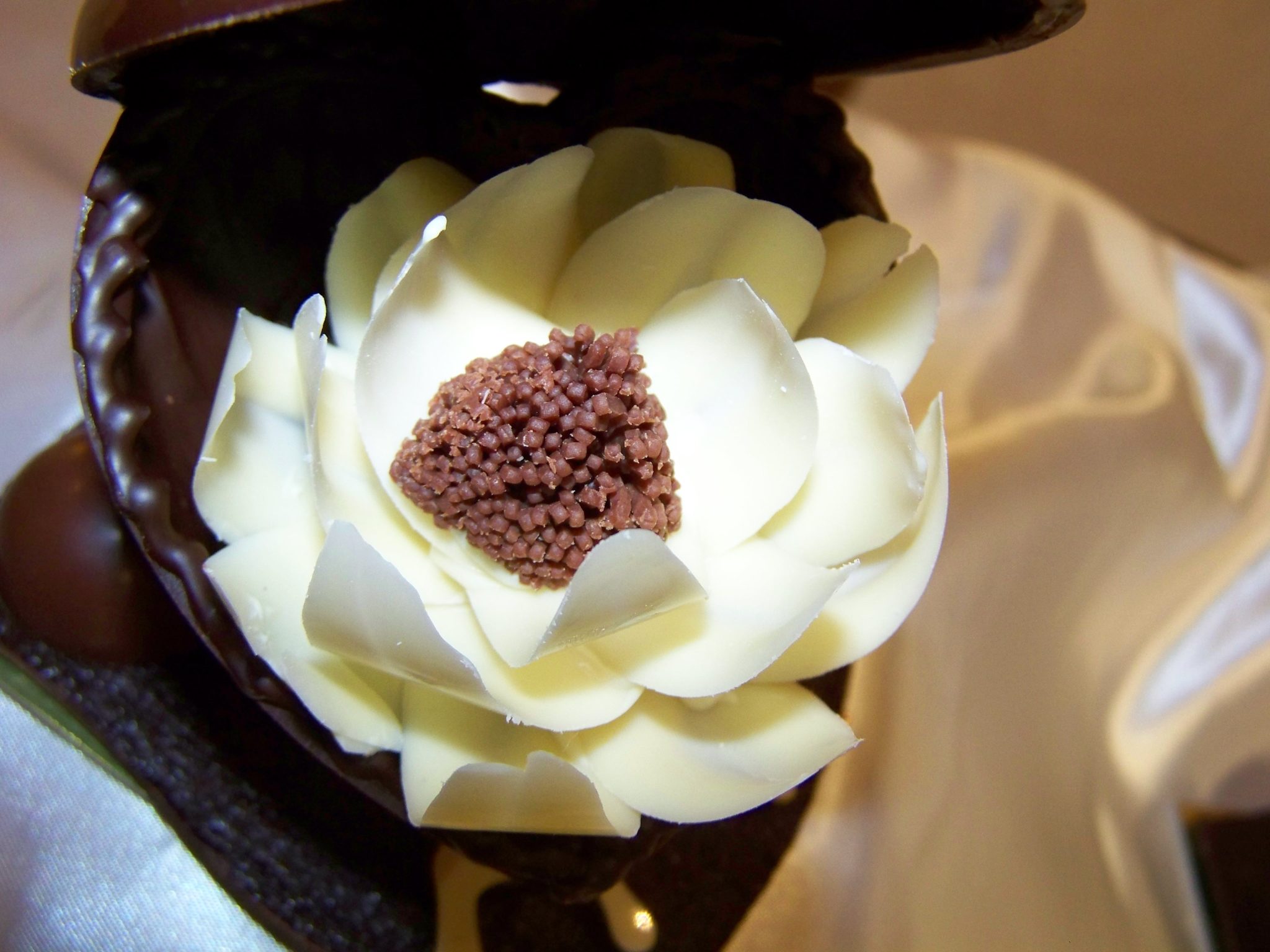 Guillaume Daix Maître chocolatier bio, créateur
